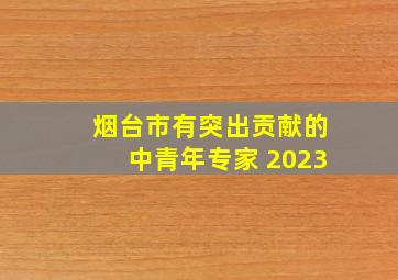 烟台市有突出贡献的中青年专家 2023